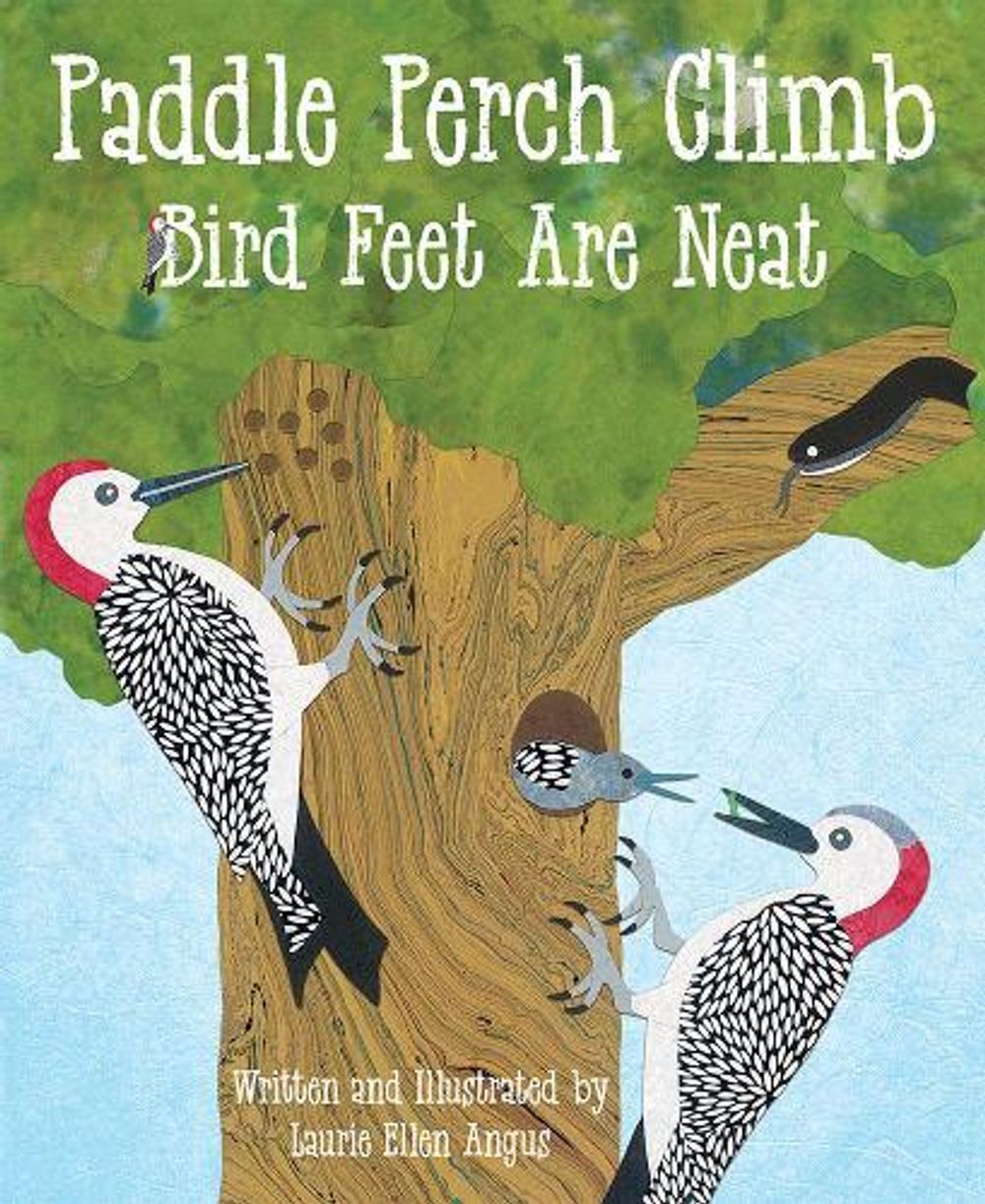 Paddle Perch Climb by Laurie Ellen Angus - ISBN: 9781584696131