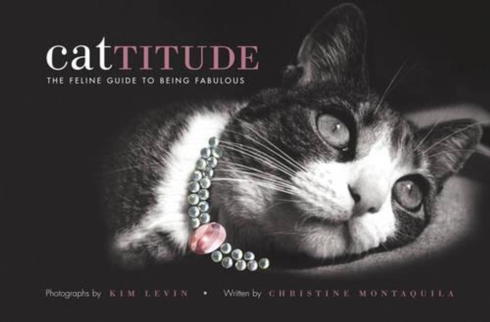 Cattitude by Kim Levin - ISBN: 9781584794622