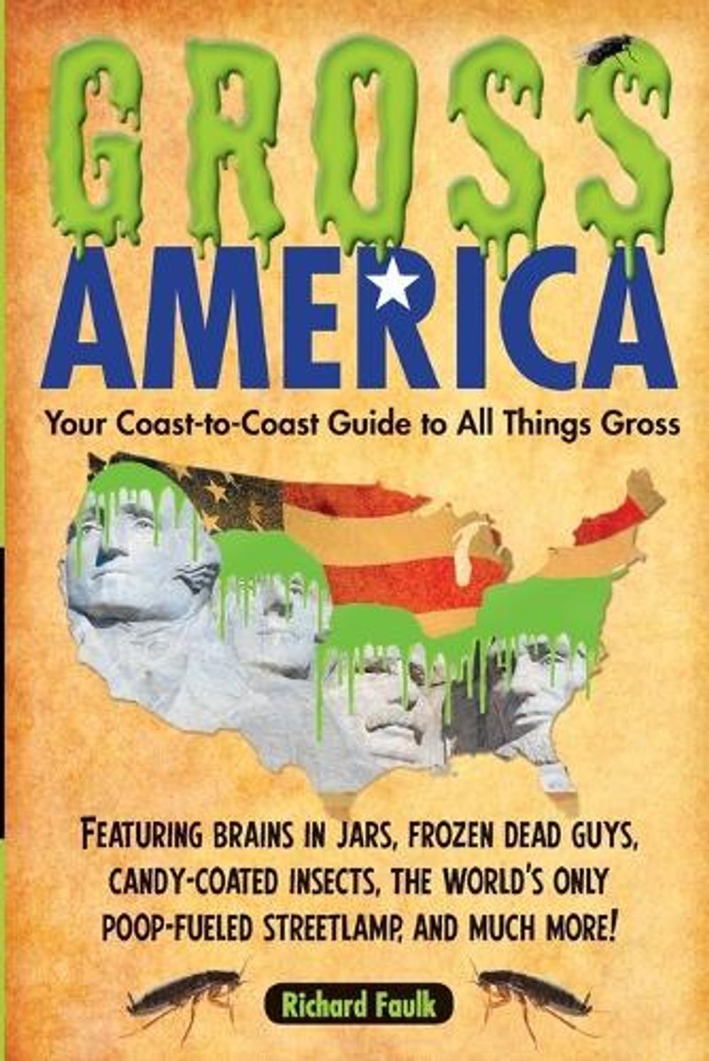 Gross America by Richard Faulk - ISBN: 9781585429417