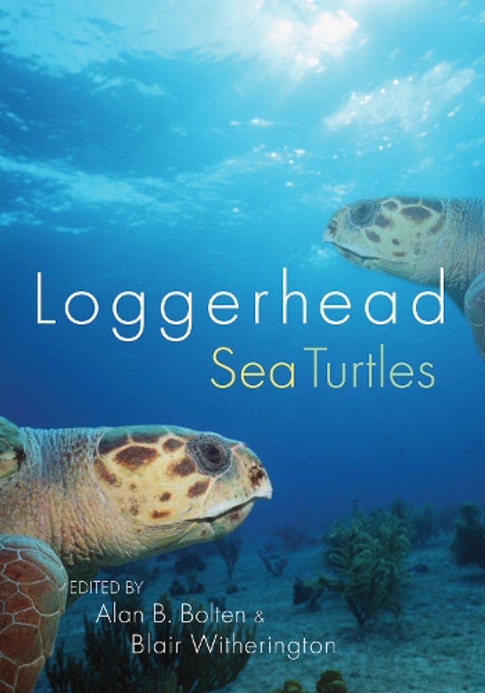 Loggerhead Sea Turtles by Alan B. Bolten - ISBN: 9781588345578