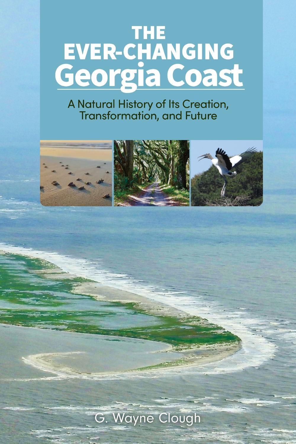 The Ever-Changing Georgia Coast by G. Wayne Clough - ISBN: 9781588348272