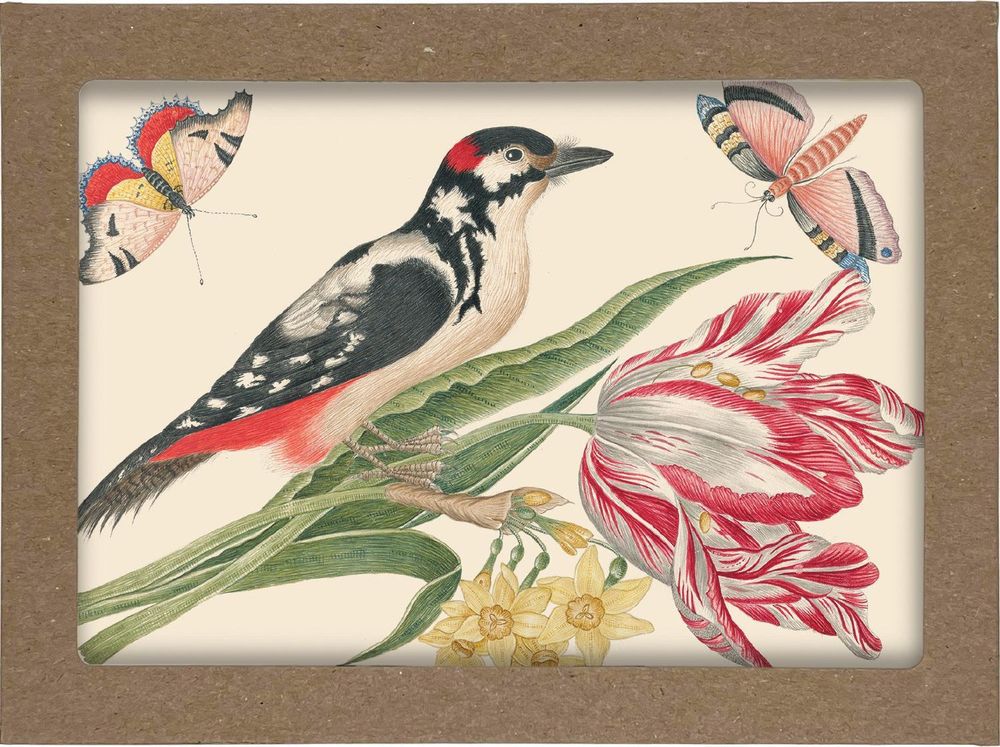 Smithsonian Birds and Flowers Notecard Set by Smithsonian Institution - ISBN: 9781588348470