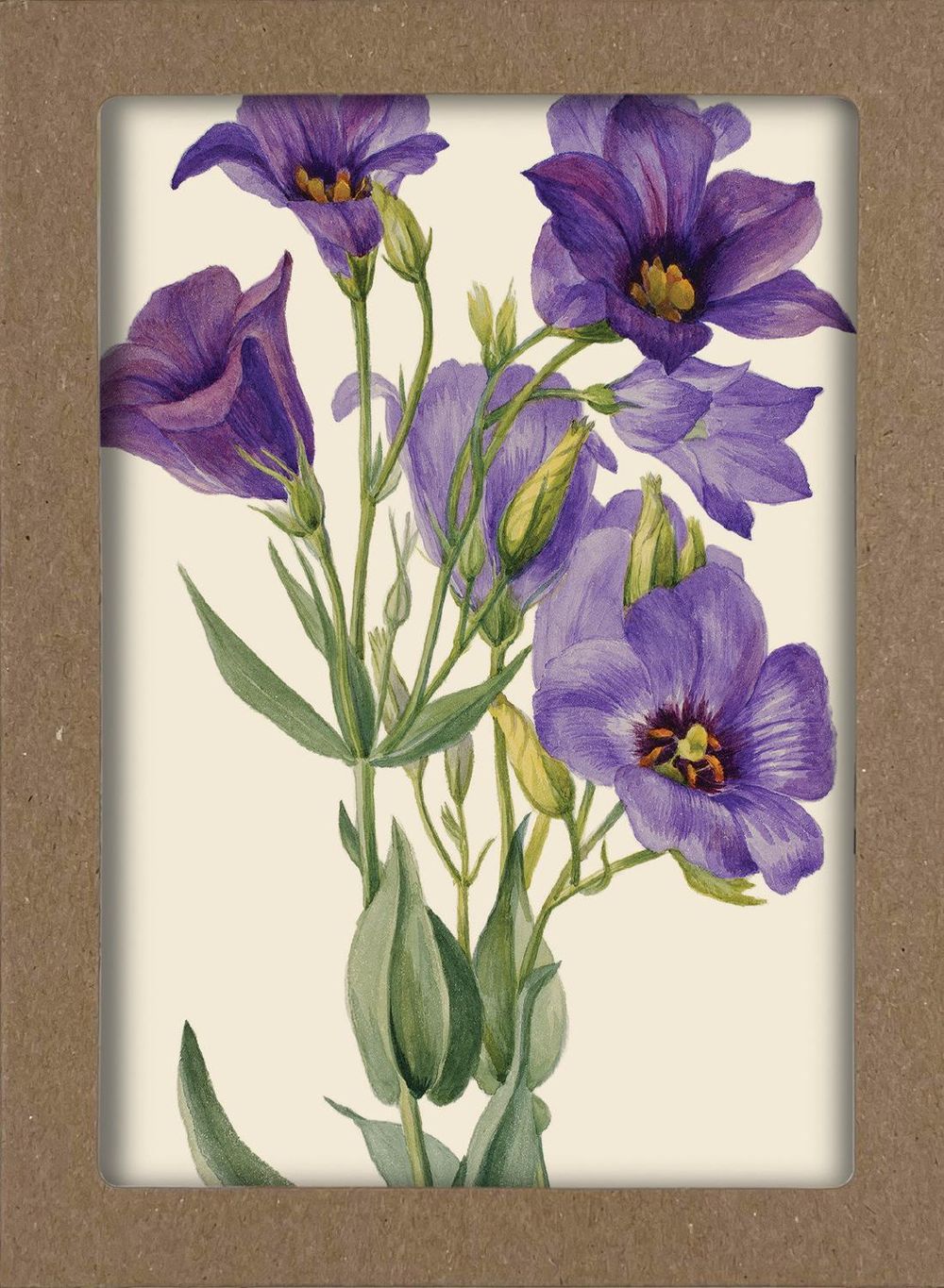 Smithsonian Wildflower Notecard Set - Artwork by Mary Vaux Walcott by Smithsonian Institution - ISBN: 9781588348487