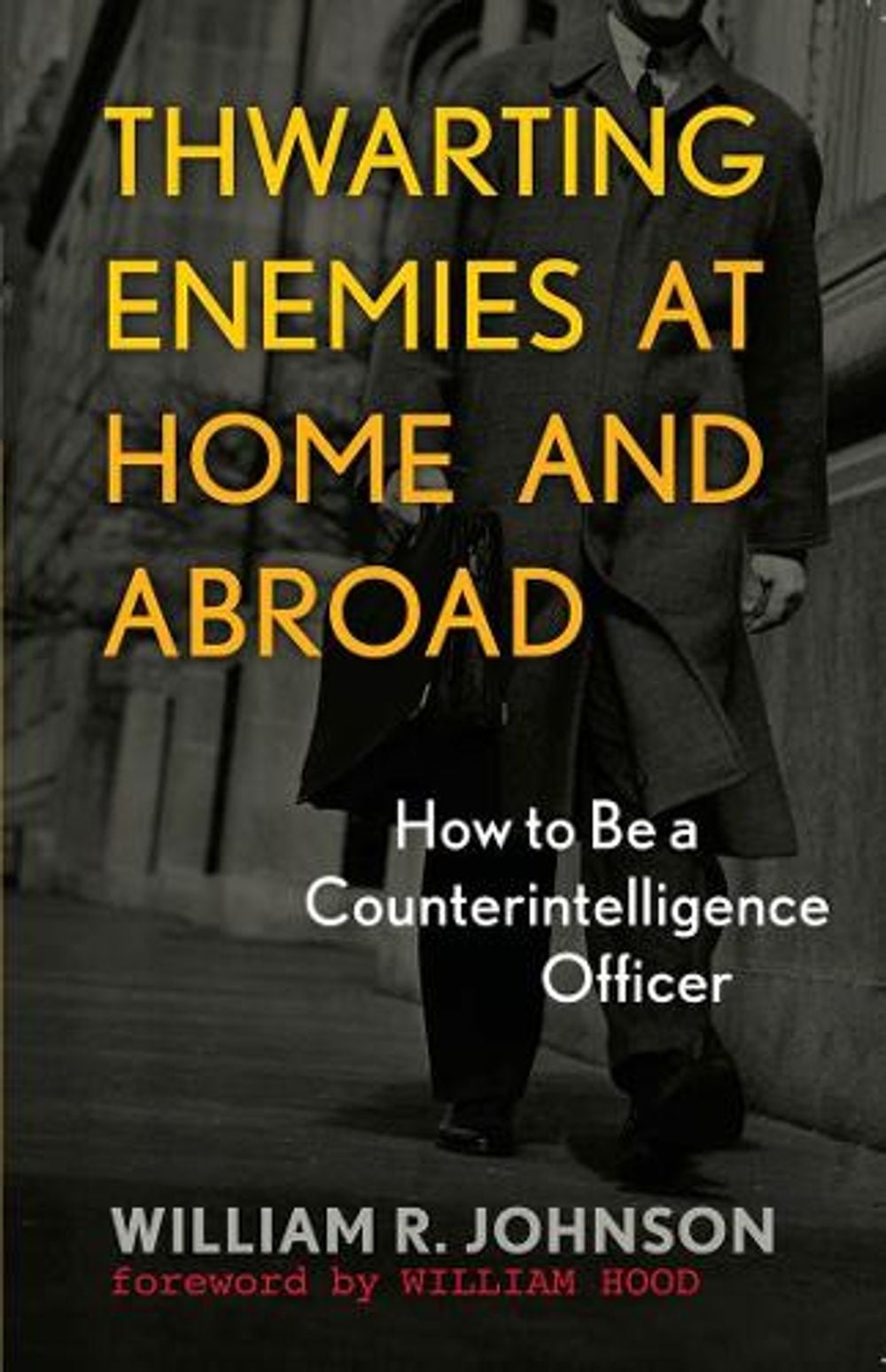Thwarting Enemies at Home and Abroad by William R. Johnson - ISBN: 9781589012554