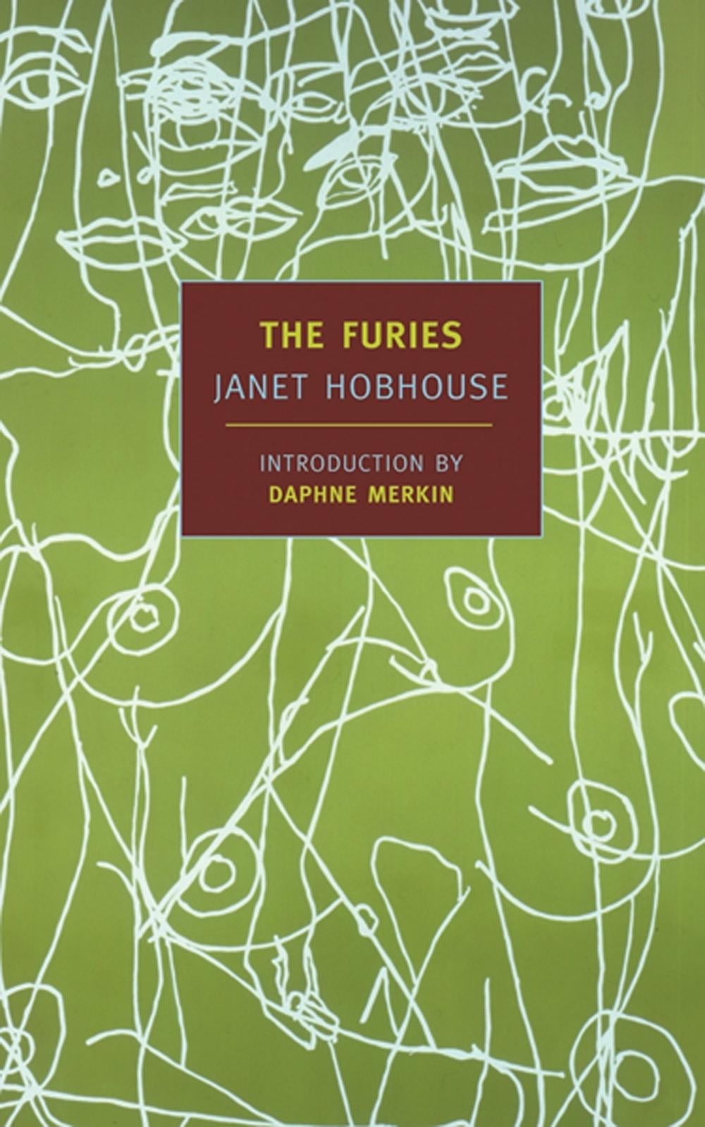 The Furies by Janet Hobhouse - ISBN: 9781590170854