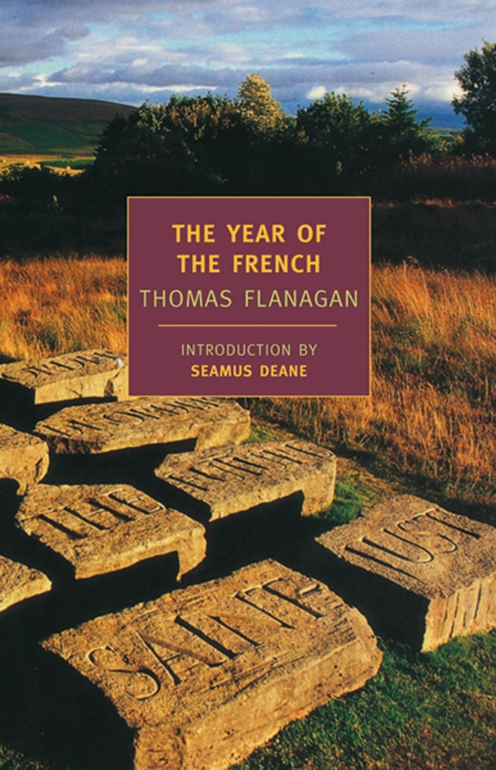 The Year of the French by Thomas Flanagan - ISBN: 9781590171080