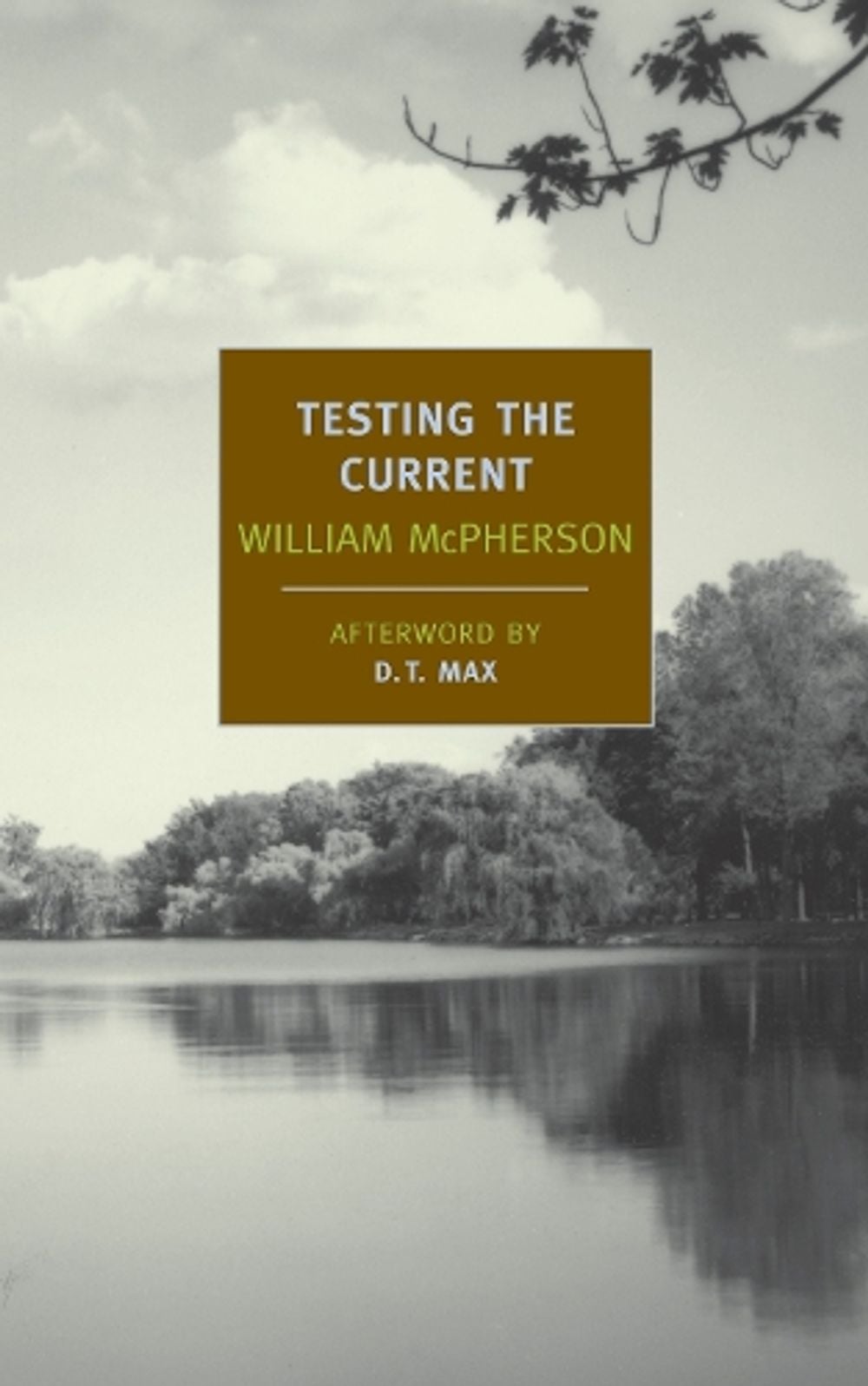 Testing the Current by William Mcpherson - ISBN: 9781590176023