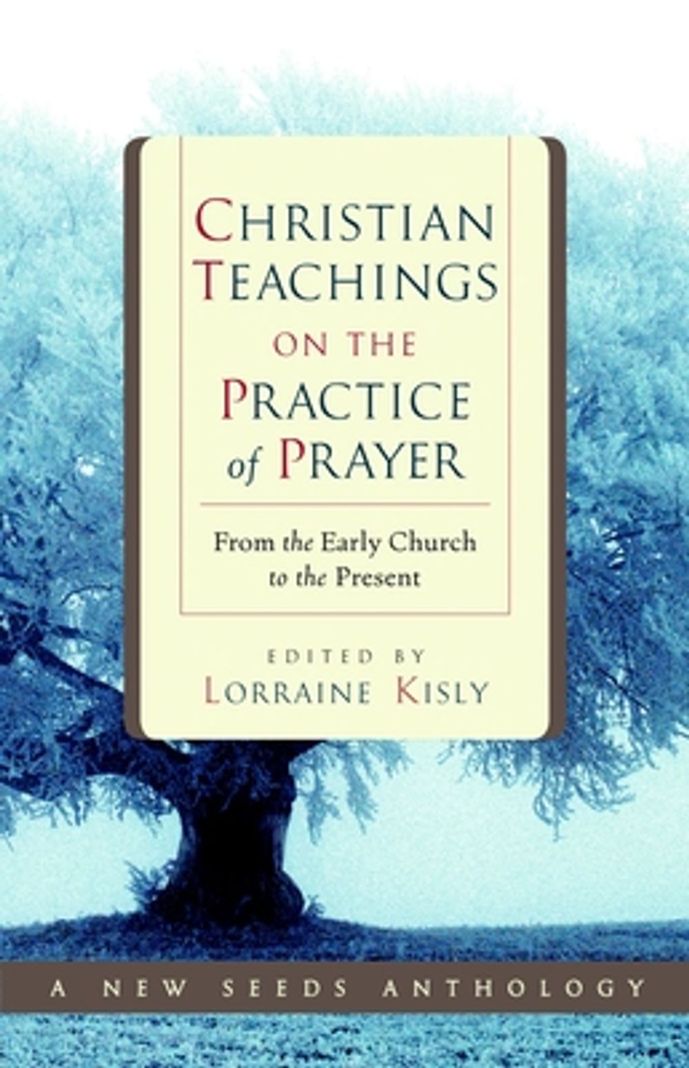 Christian Teachings on the Practice of Prayer: From the Early Church to the Present by Lorraine Kisly - ISBN: 9781590302996