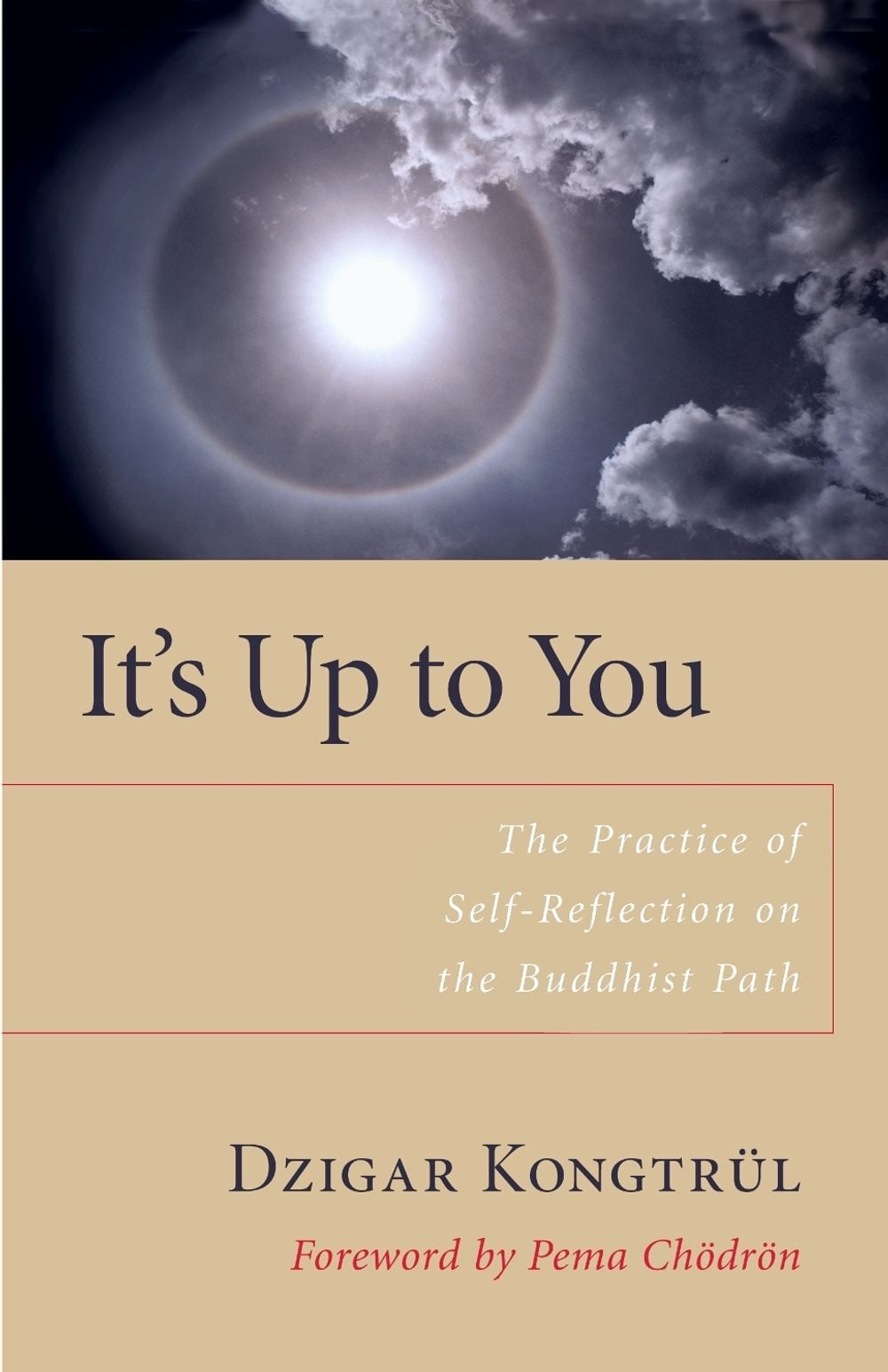It's Up to You by Dzigar Kongtrul - ISBN: 9781590303818