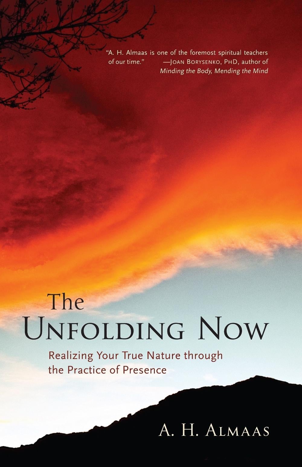 The Unfolding Now by A.H. Almaas - ISBN: 9781590305591