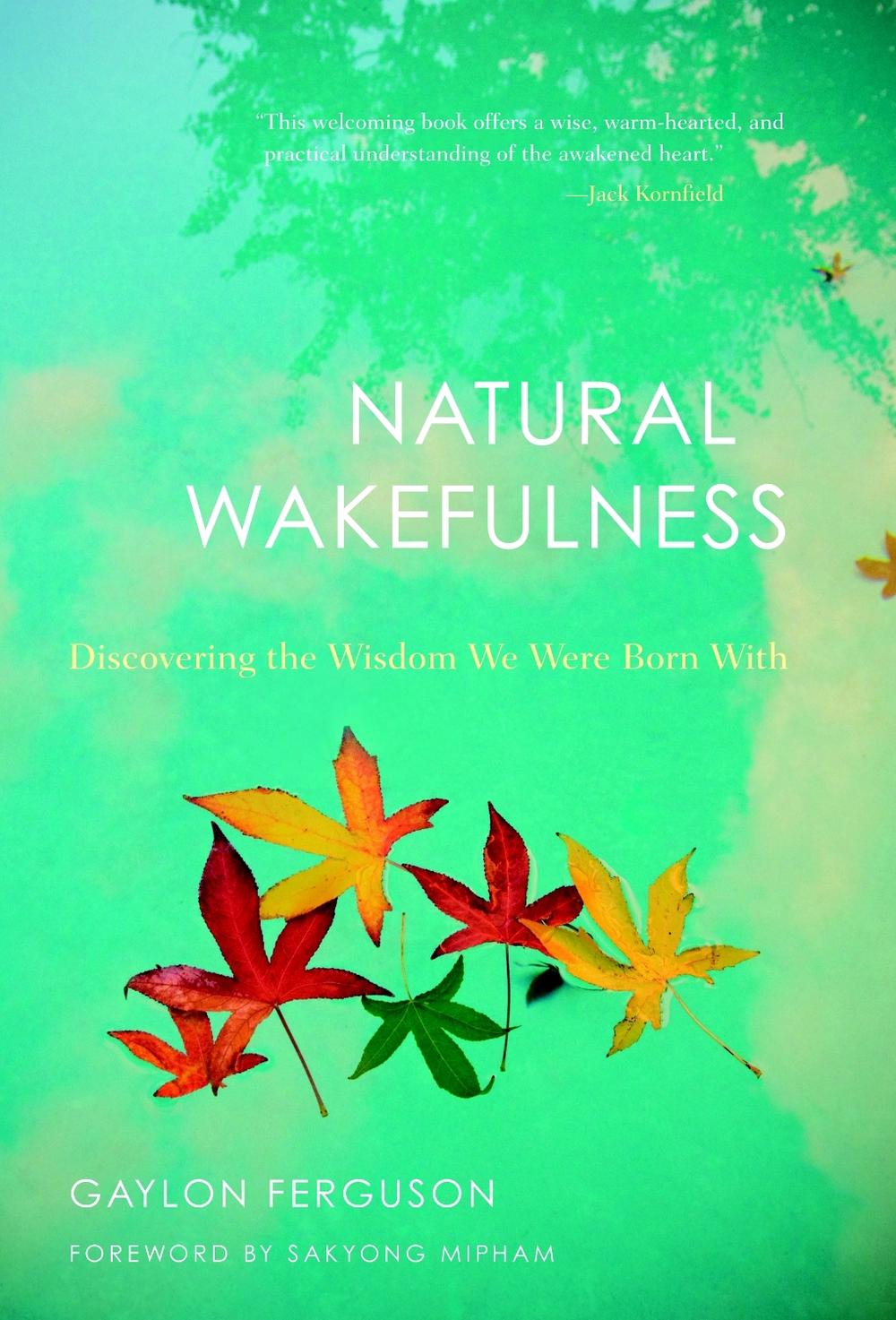 Natural Wakefulness by Gaylon Ferguson - ISBN: 9781590307694