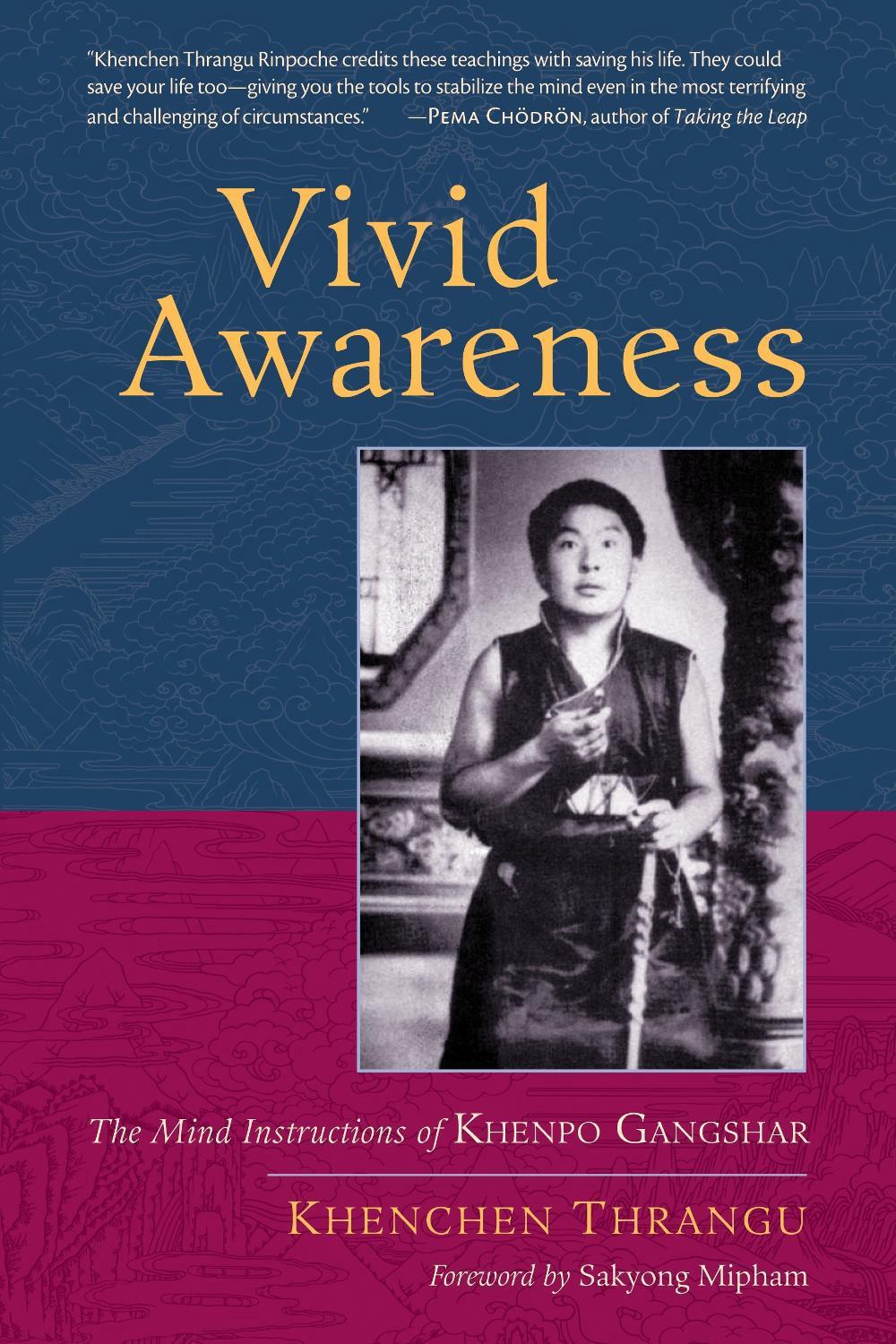 Vivid Awareness by Khenchen Thrangu - ISBN: 9781590308165
