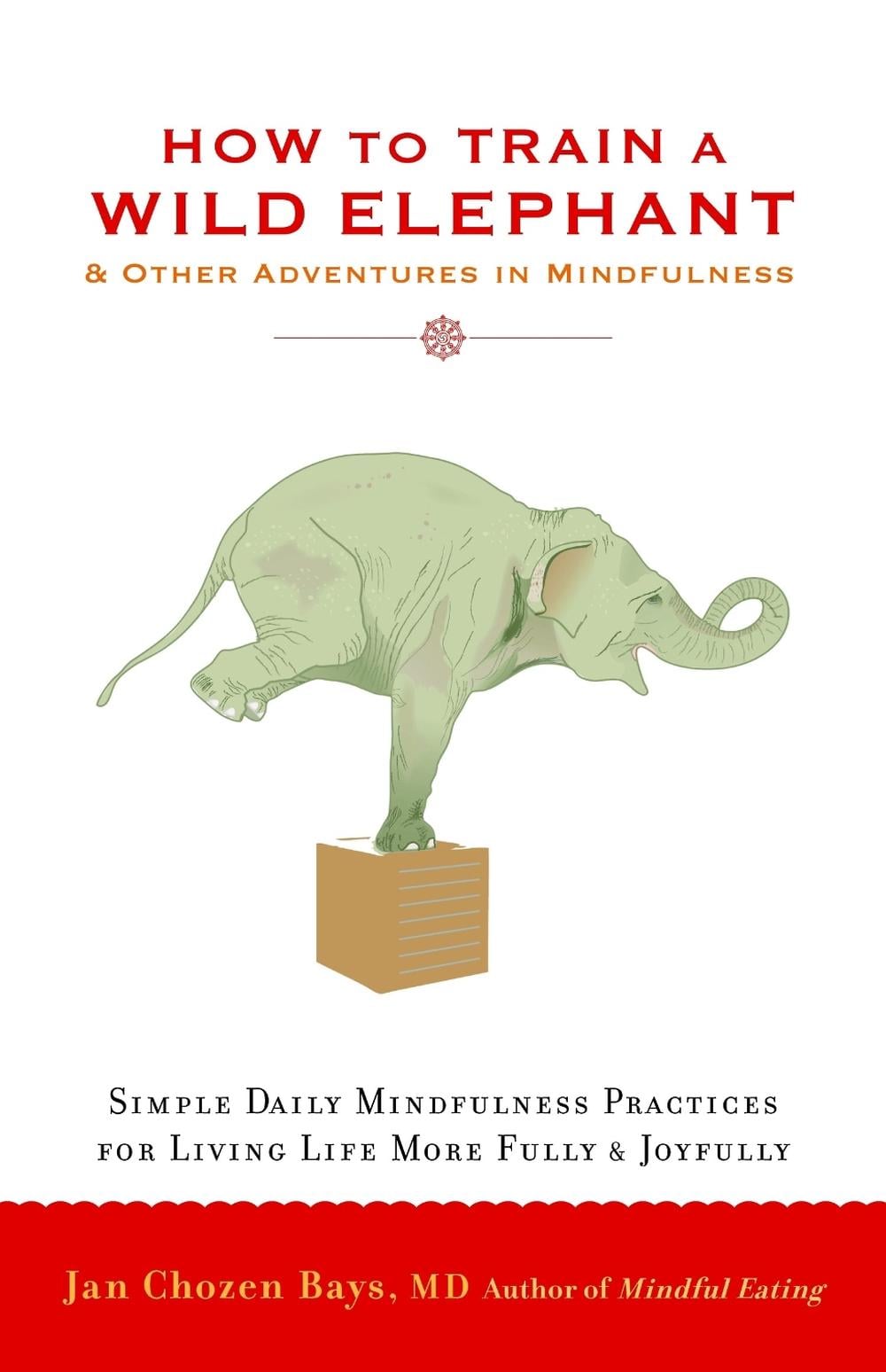 How to Train a Wild Elephant by Jan Chozen Bays - ISBN: 9781590308172