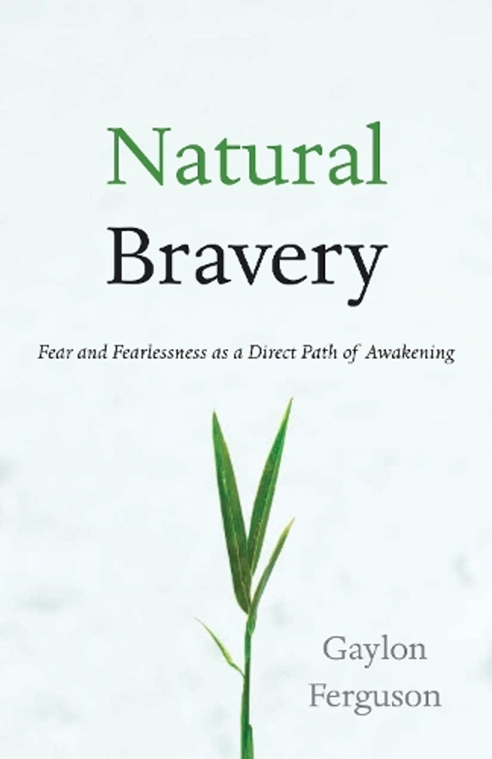 Natural Bravery by Gaylon Ferguson - ISBN: 9781590309735
