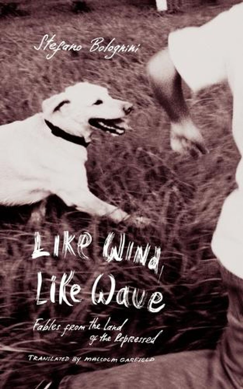 Like Wind, Like Wave by Stefano Bolognini - ISBN: 9781590511794
