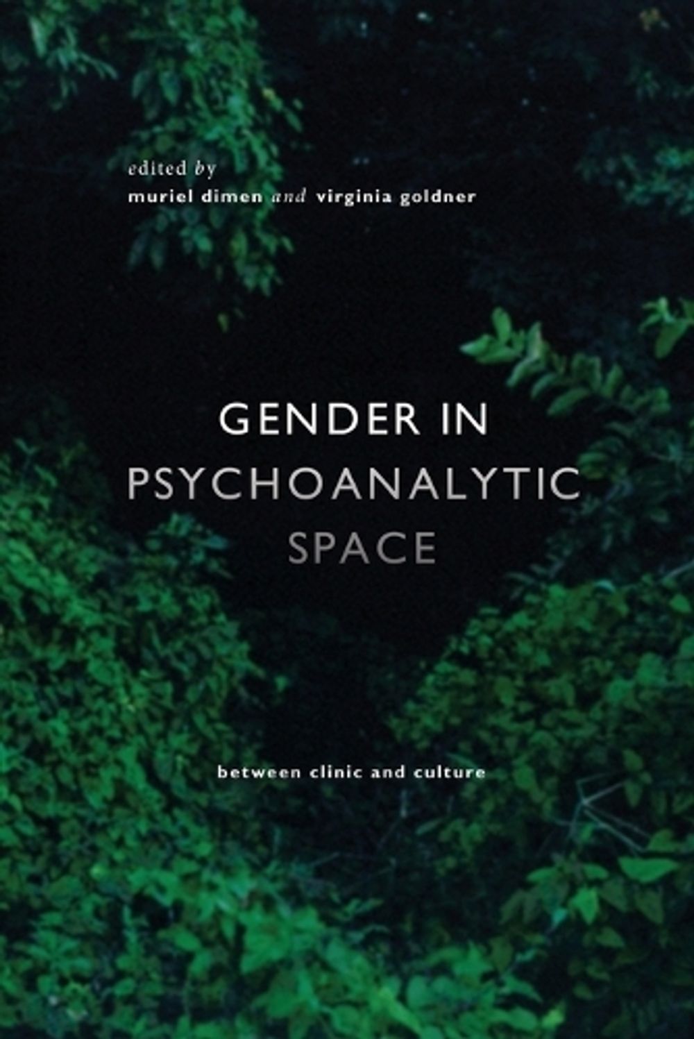 Gender in Psychoanalytic Space by Muriel Dimen - ISBN: 9781590514726