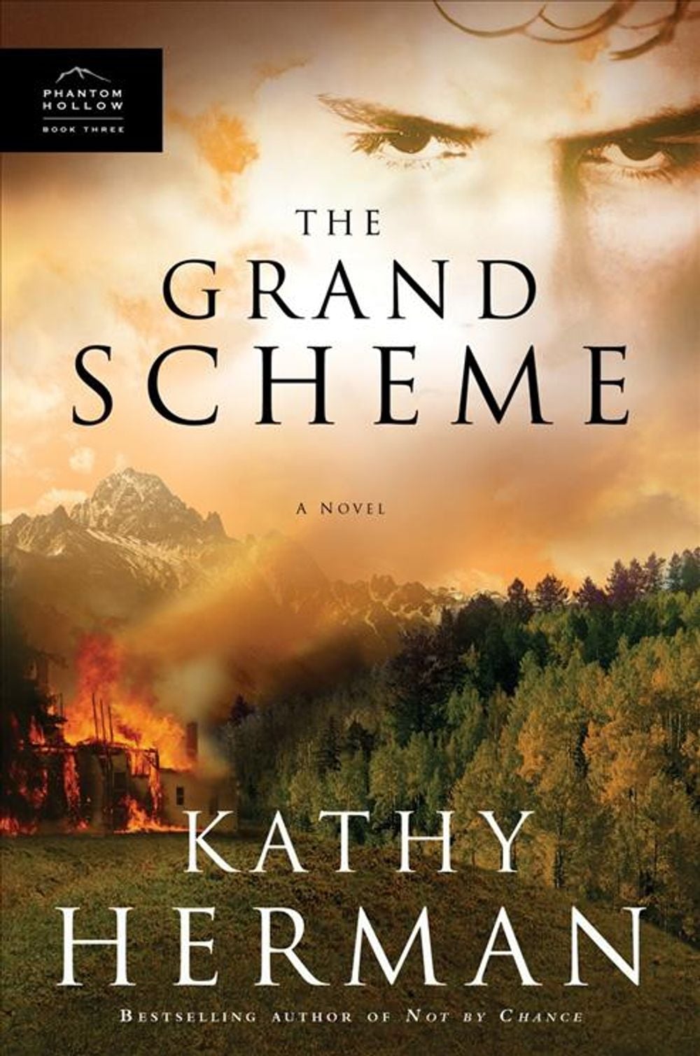 The Grand Scheme by Kathy Herman - ISBN: 9781590529232