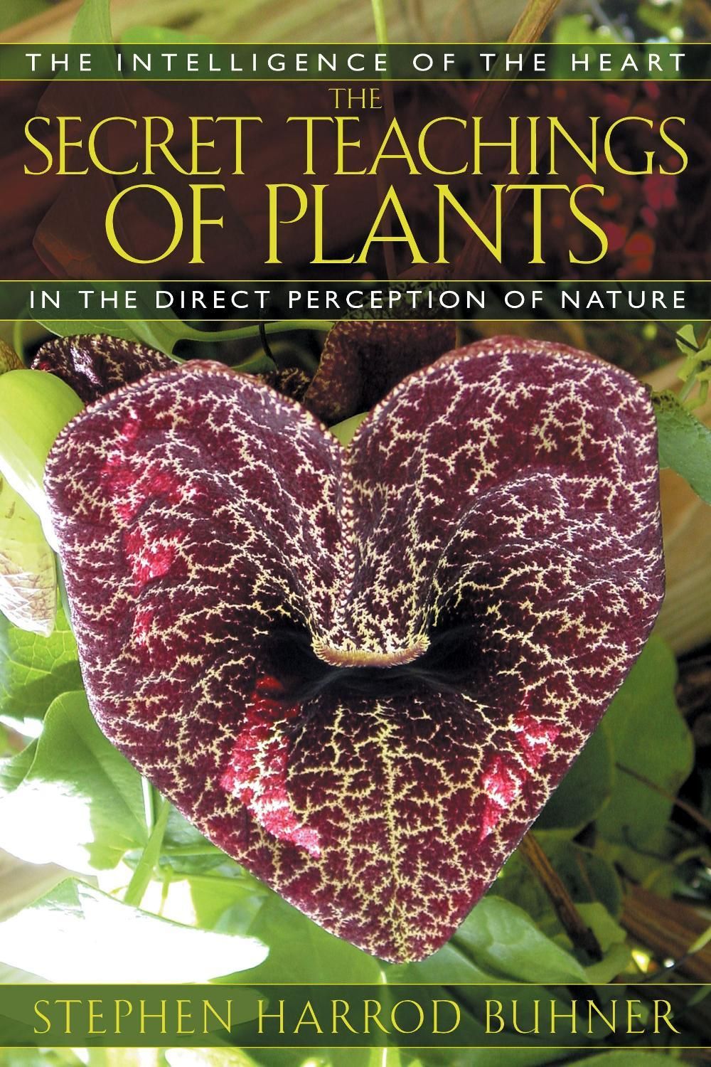 The Secret Teachings of Plants by Stephen Harrod Buhner - ISBN: 9781591430353
