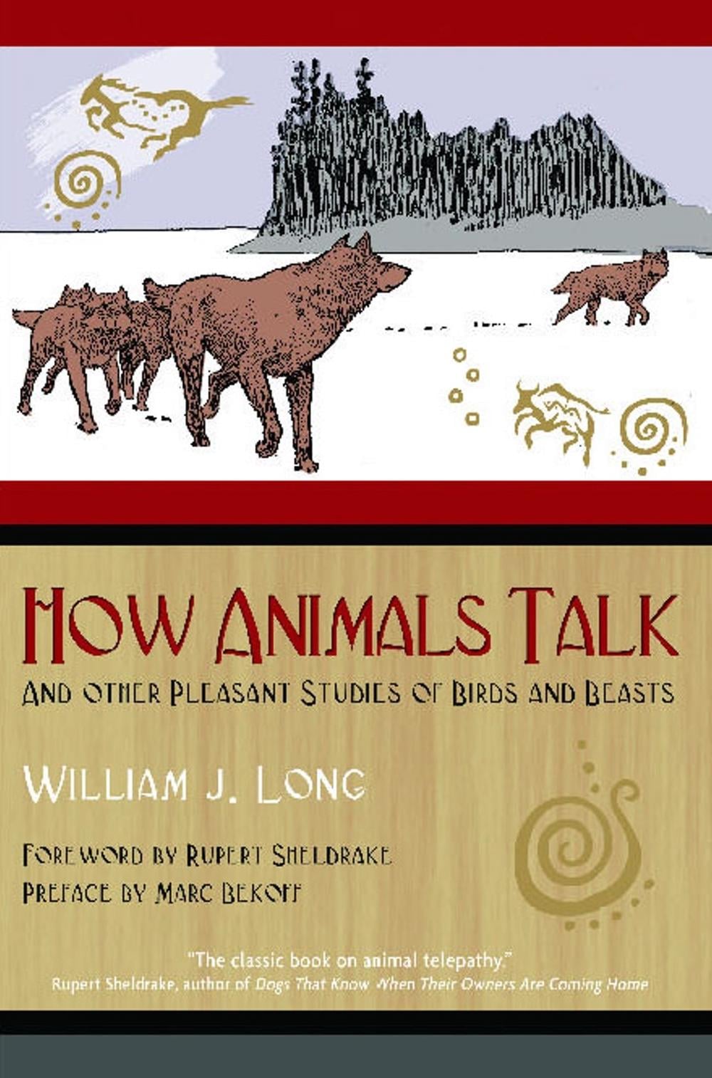 How Animals Talk by William J. Long - ISBN: 9781591430568