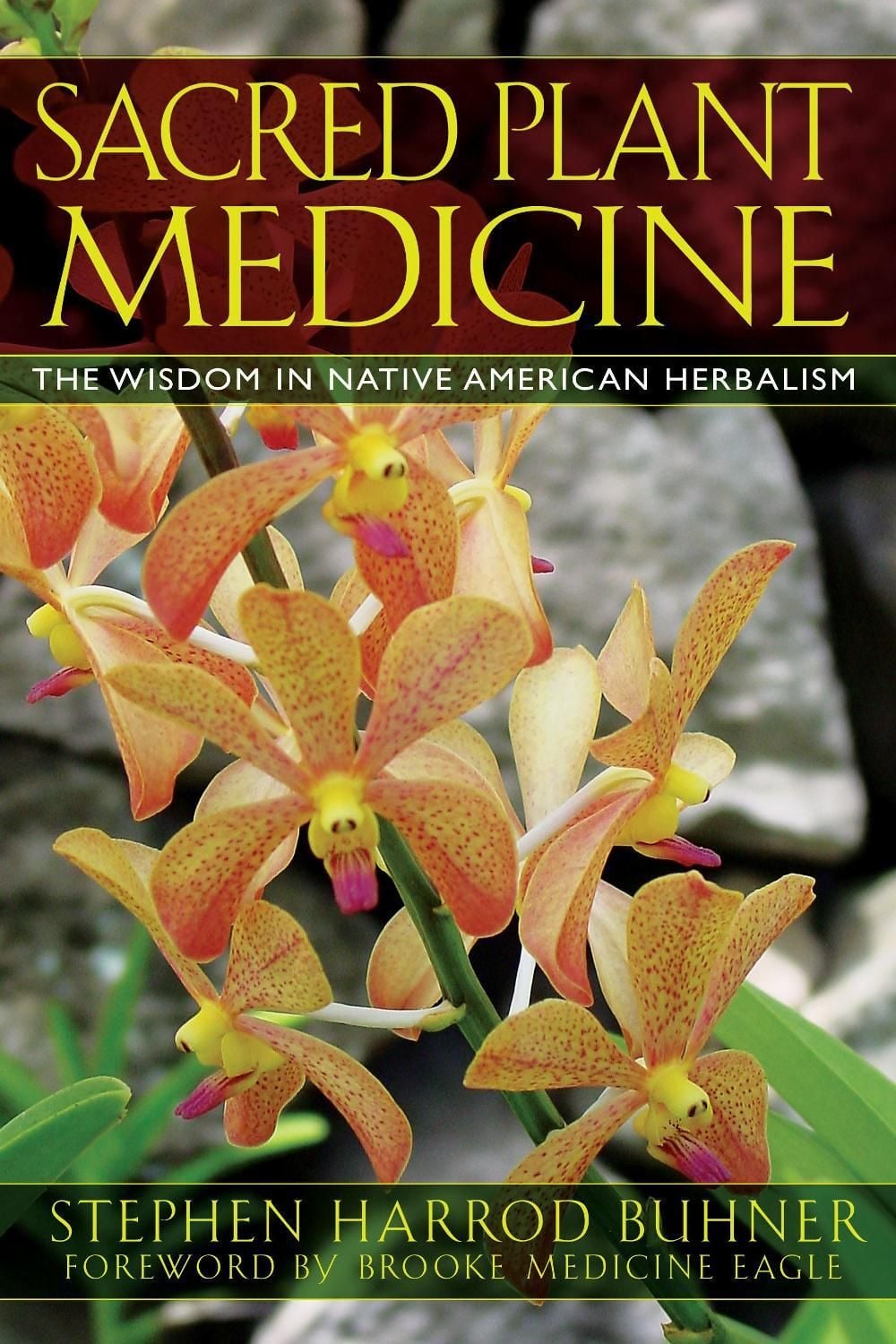 Sacred Plant Medicine by Stephen Harrod Buhner - ISBN: 9781591430582