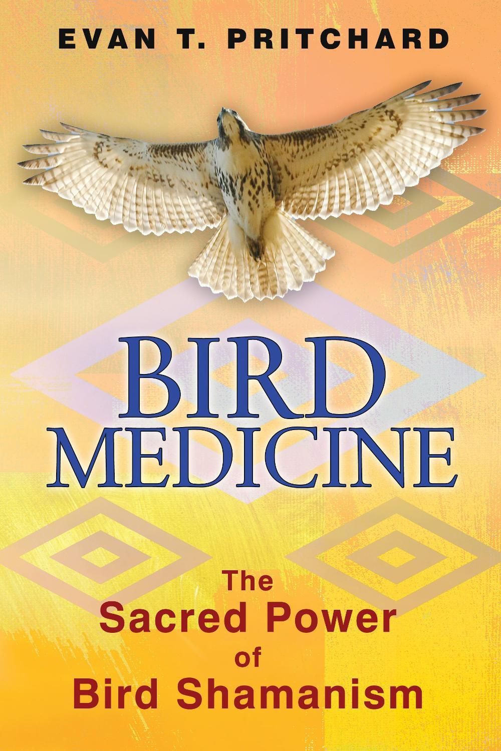 Bird Medicine by Evan T. Pritchard - ISBN: 9781591431589