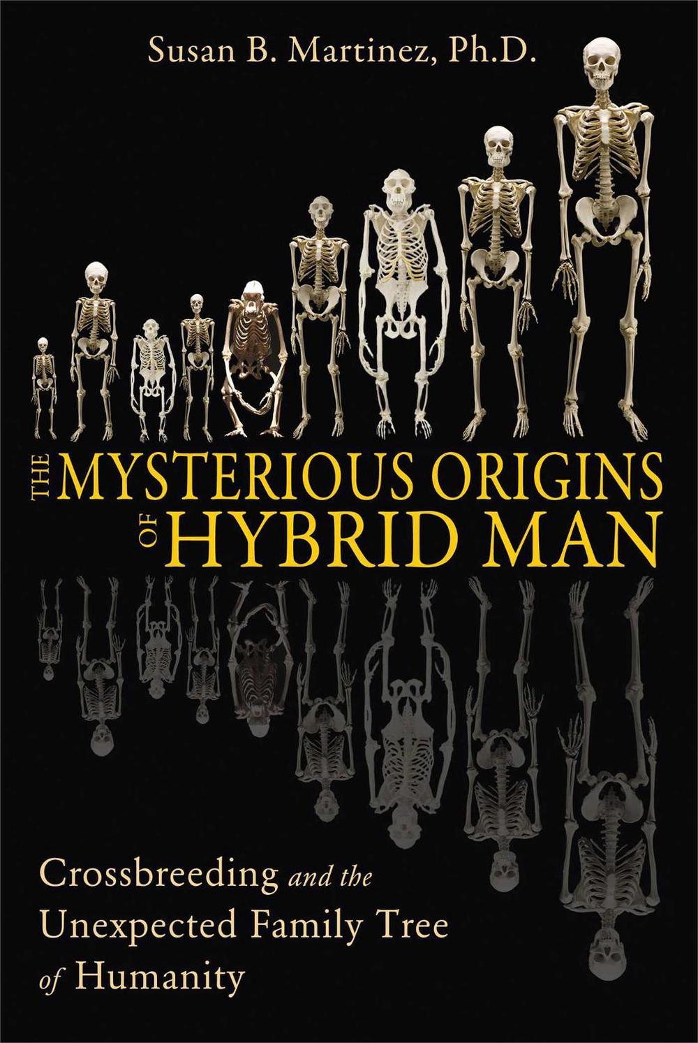 The Mysterious Origins of Hybrid Man by Susan B. Martinez, Paperback