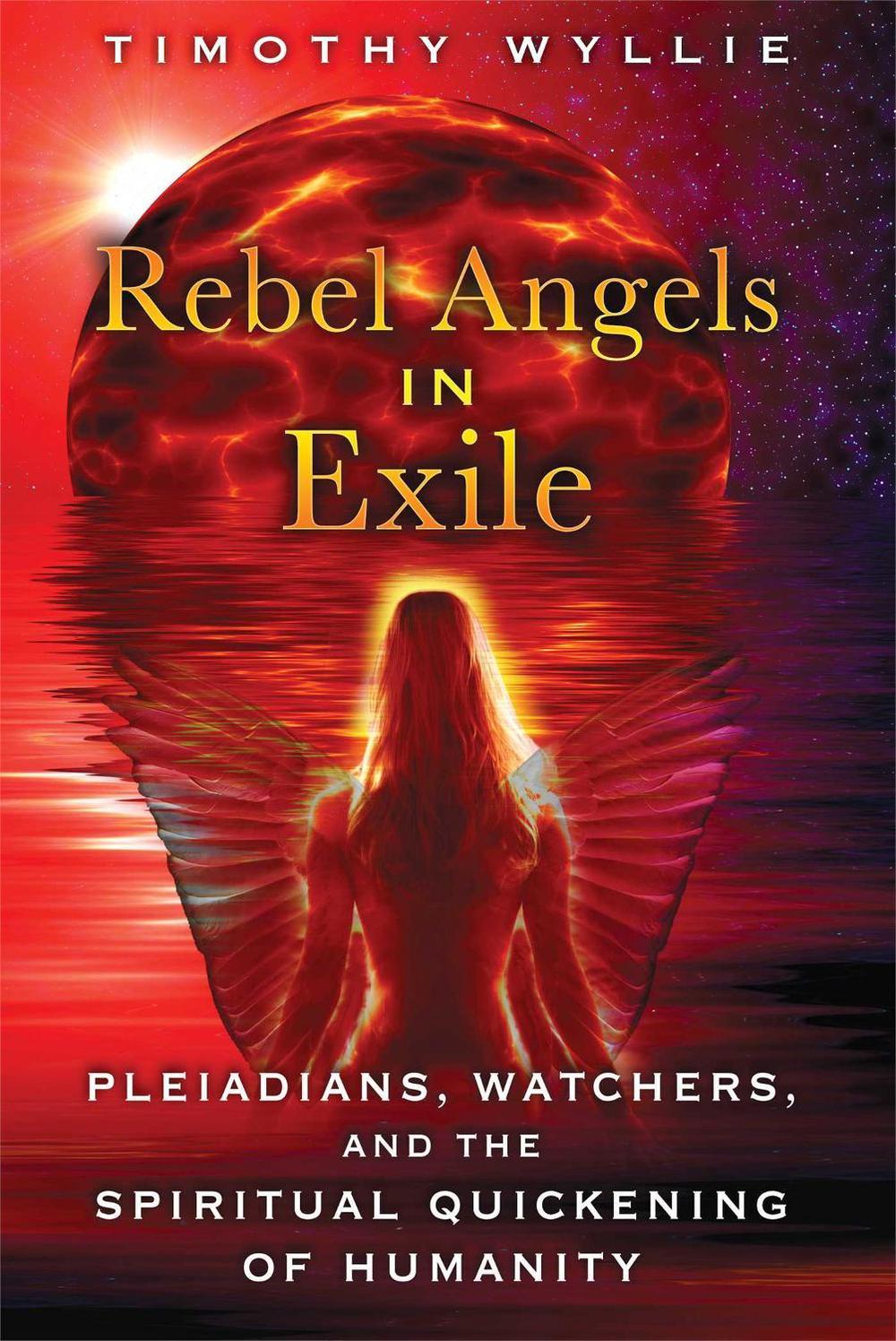 Rebel Angels in Exile by Timothy Wyllie - ISBN: 9781591431886