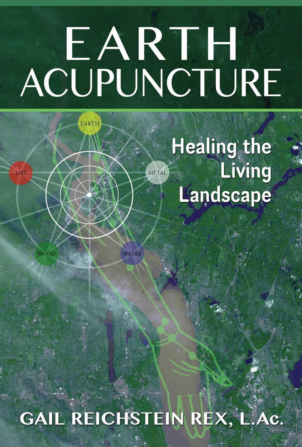 Earth Acupuncture by Gail Reichstein Rex - ISBN: 9781591432029