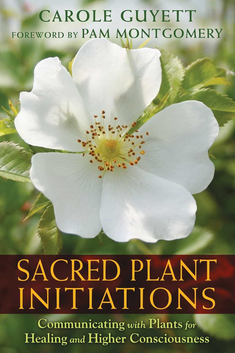 Sacred Plant Initiations by Carole Guyett - ISBN: 9781591432135