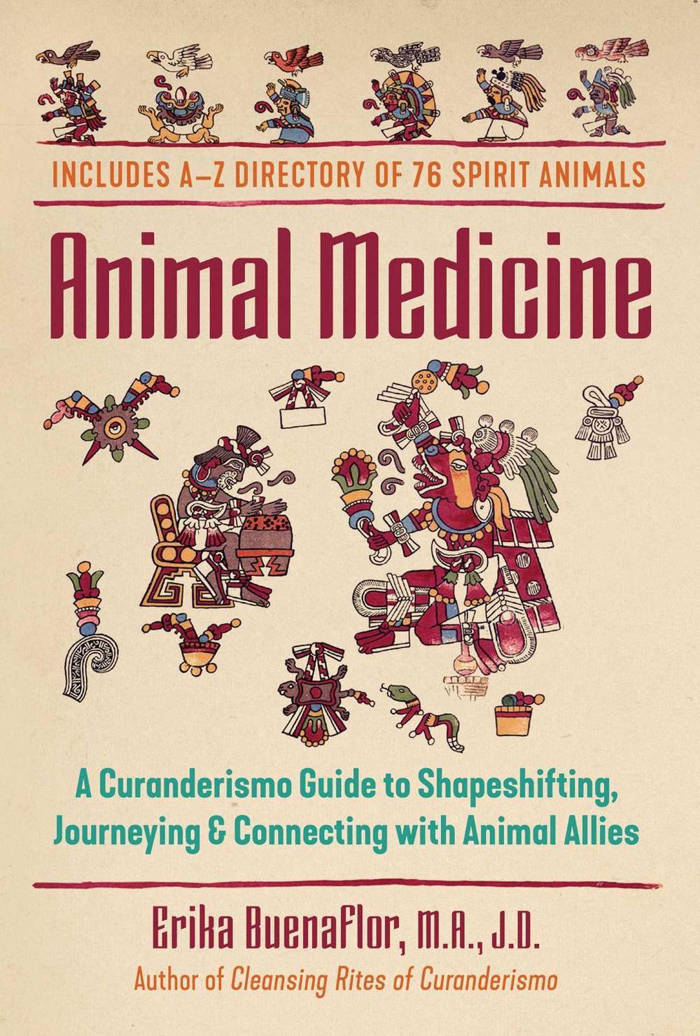 Animal Medicine by Erika Buenaflor - ISBN: 9781591434115