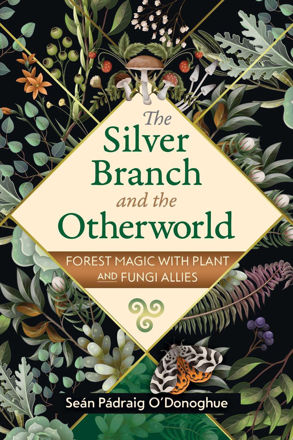 The Silver Branch and the Otherworld by Seán Pádraig O'Donoghue - ISBN: 9781591434726