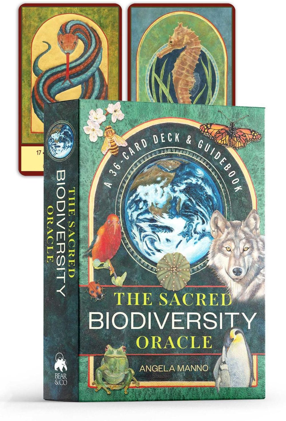 The Sacred Biodiversity Oracle by Angela Manno - ISBN: 9781591435037