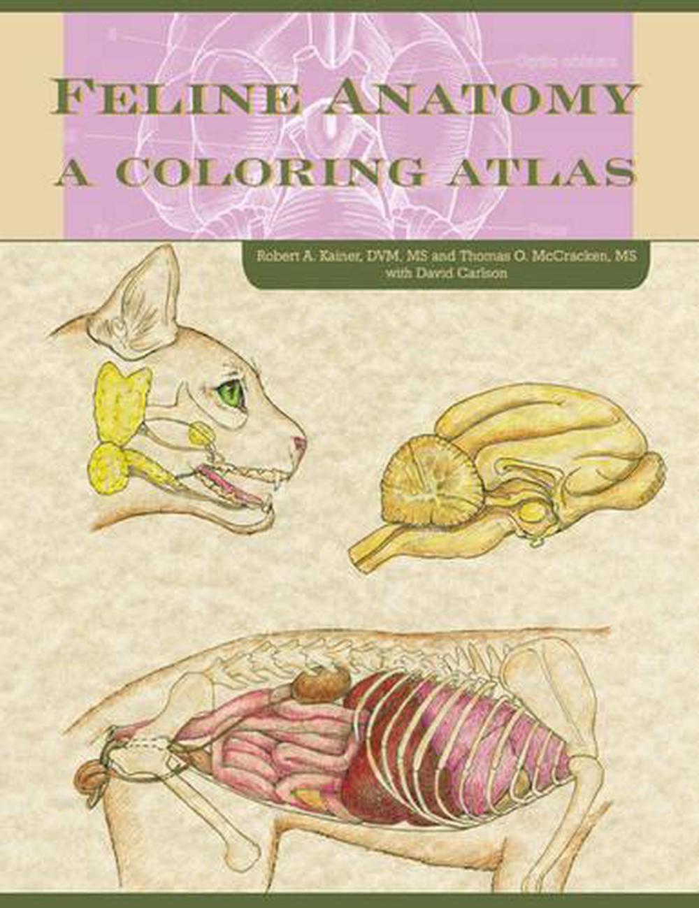 Feline Anatomy, 9781591610458