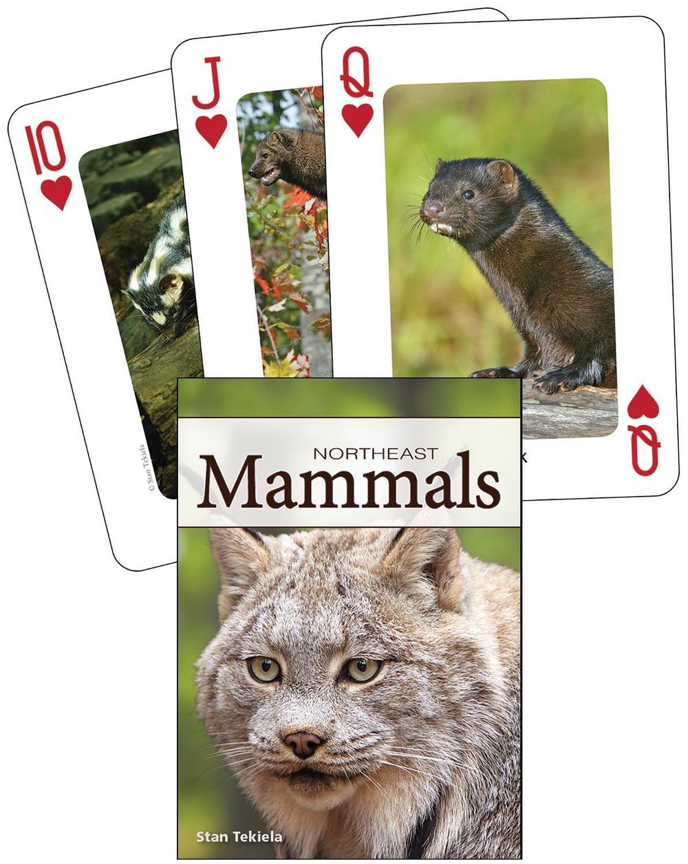 Mammals of the Northeast Playing Cards by Stan Tekiela - ISBN: 9781591933885