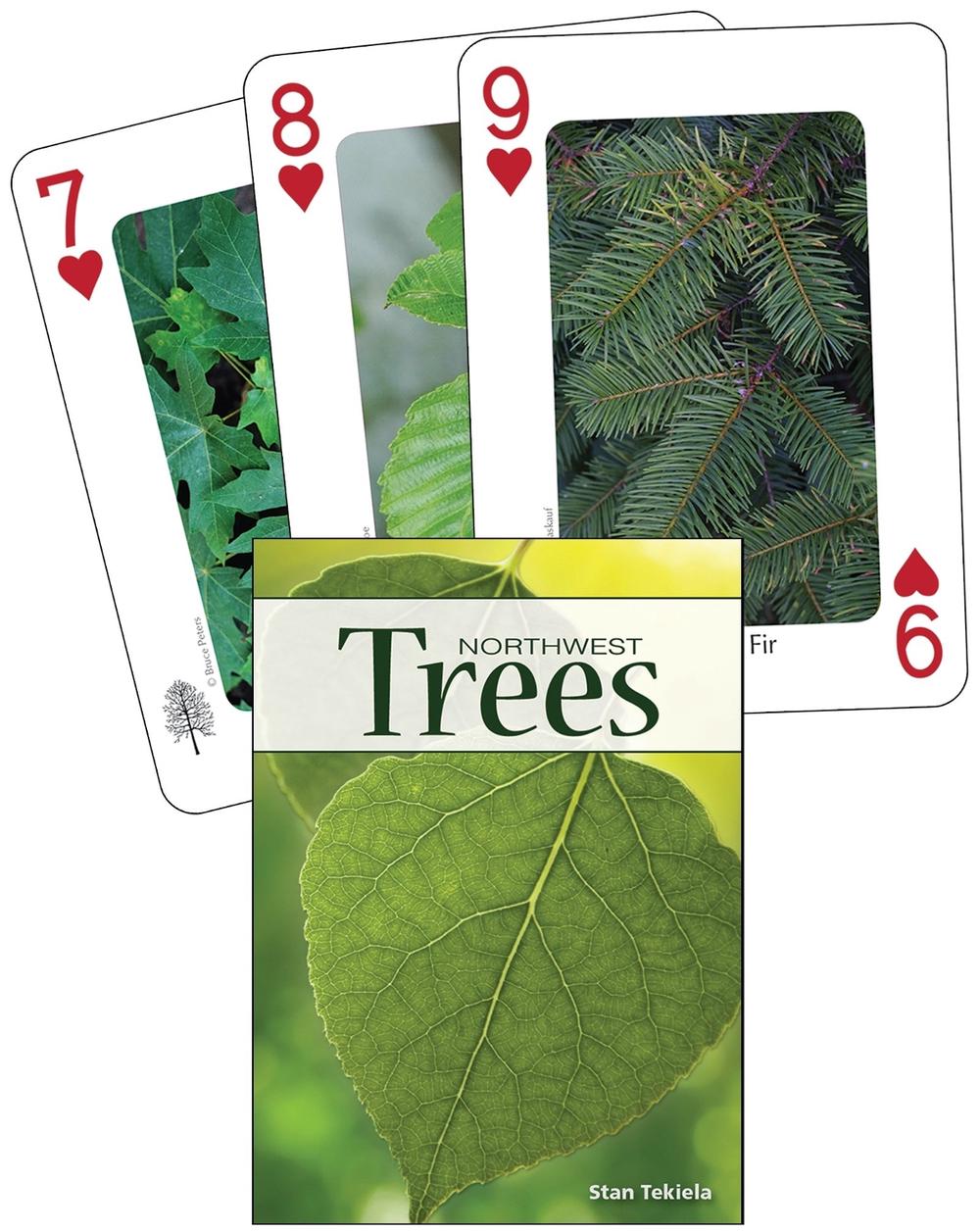 Trees of the Northwest Playing Cards by Stan Tekiela - ISBN: 9781591933922