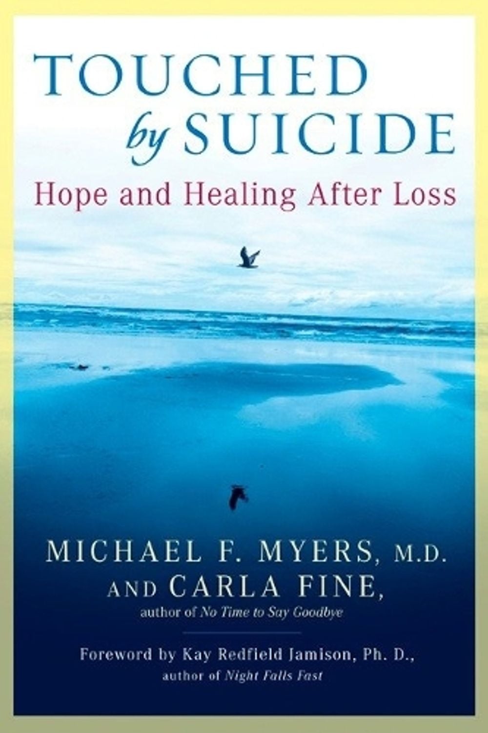 Touched by Suicide by Carla Fine - ISBN: 9781592402281