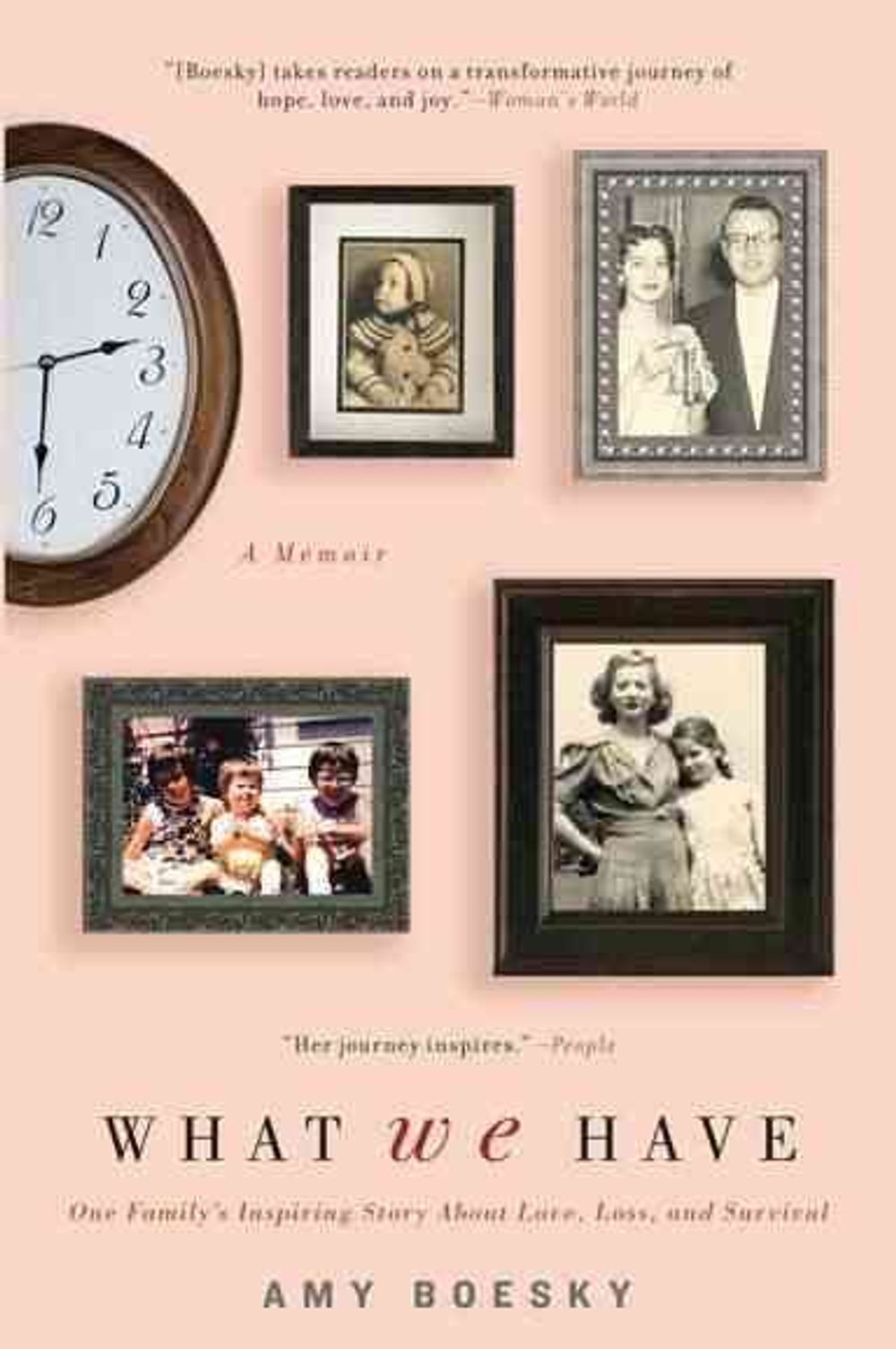What We Have by Amy Boesky - ISBN: 9781592406364