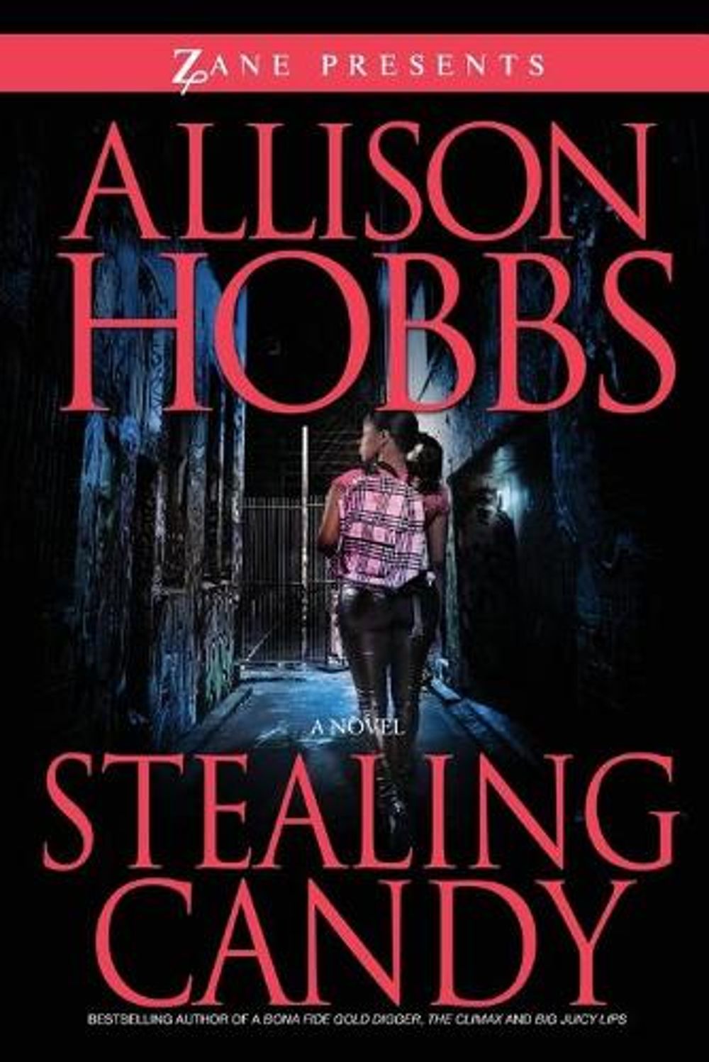 Stealing Candy by Allison Hobbs - ISBN: 9781593092801