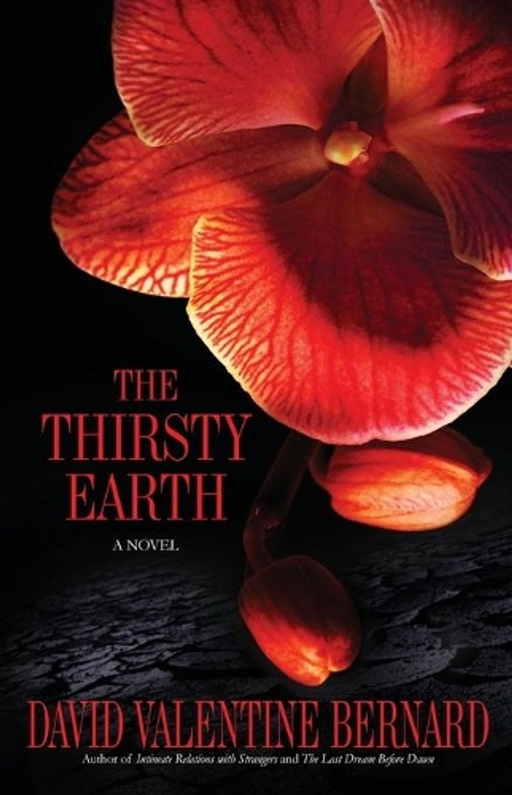 The Thirsty Earth by D.V. Bernard - ISBN: 9781593094614