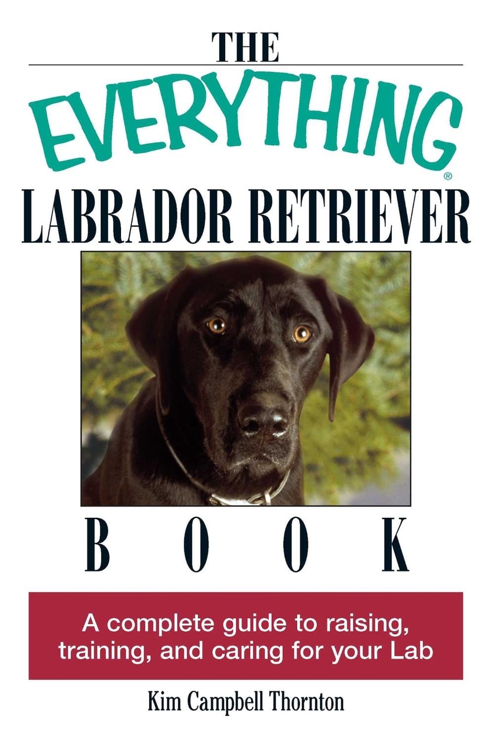 The Everything Labrador Retriever Book by Kim Campbell Thornton - ISBN: 9781593370480