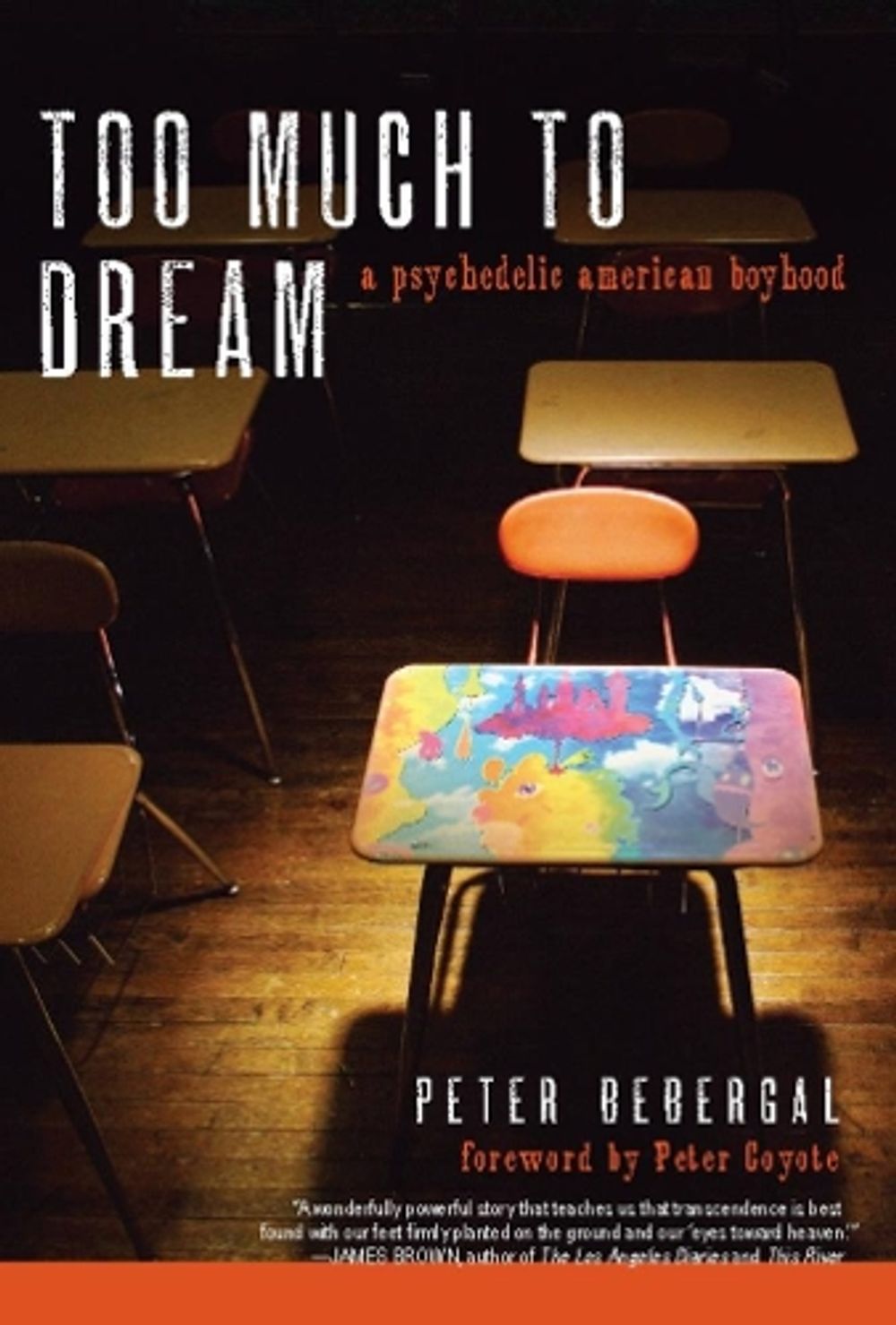 Too Much to Dream by Peter Bebergal - ISBN: 9781593763824