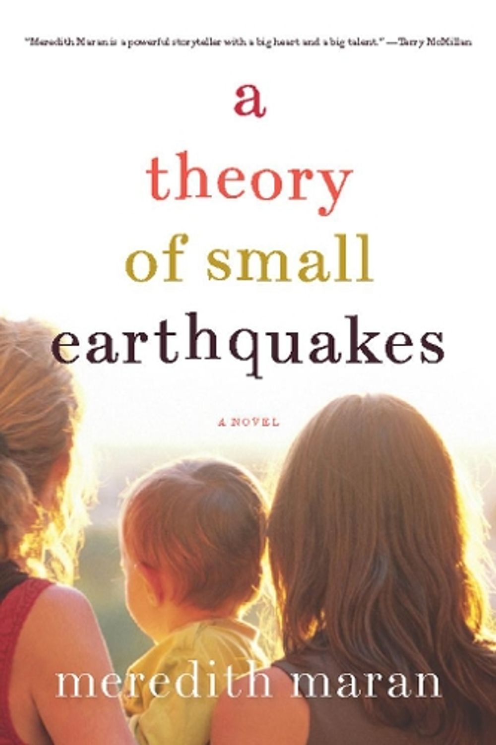 A Theory of Small Earthquakes by Meredith Maran - ISBN: 9781593764302
