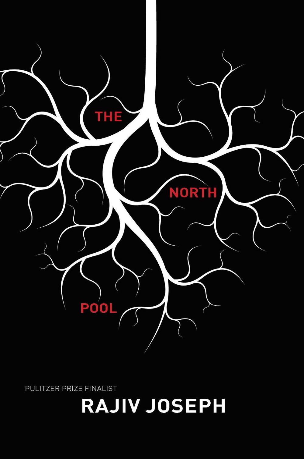 The North Pool by Rajiv Joseph - ISBN: 9781593765095
