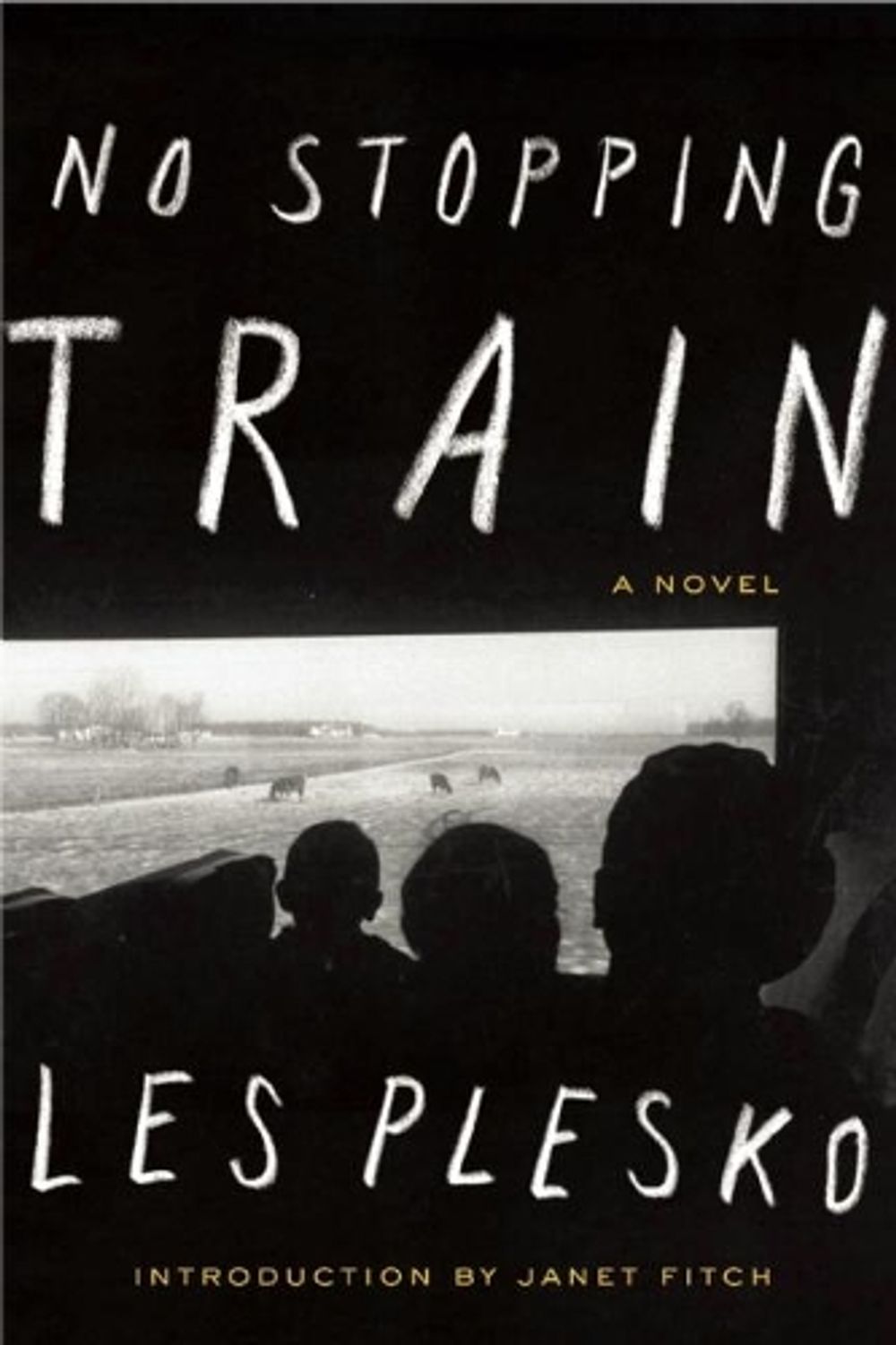 No Stopping Train by Les Plesko - ISBN: 9781593765453