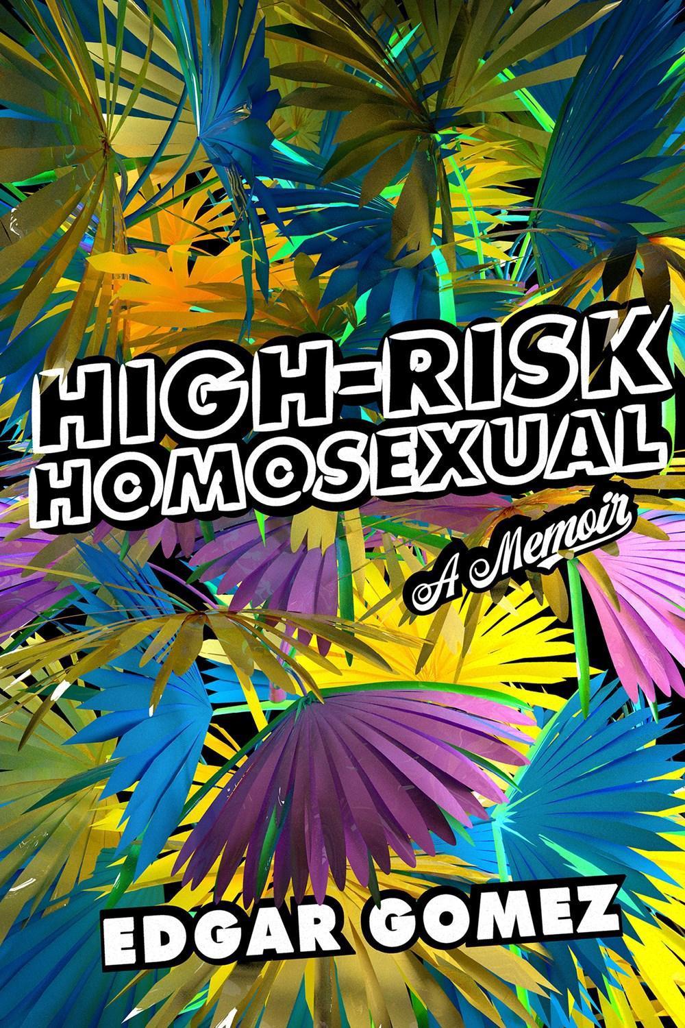 High-Risk Homosexual by Edgar Gomez - ISBN: 9781593767051