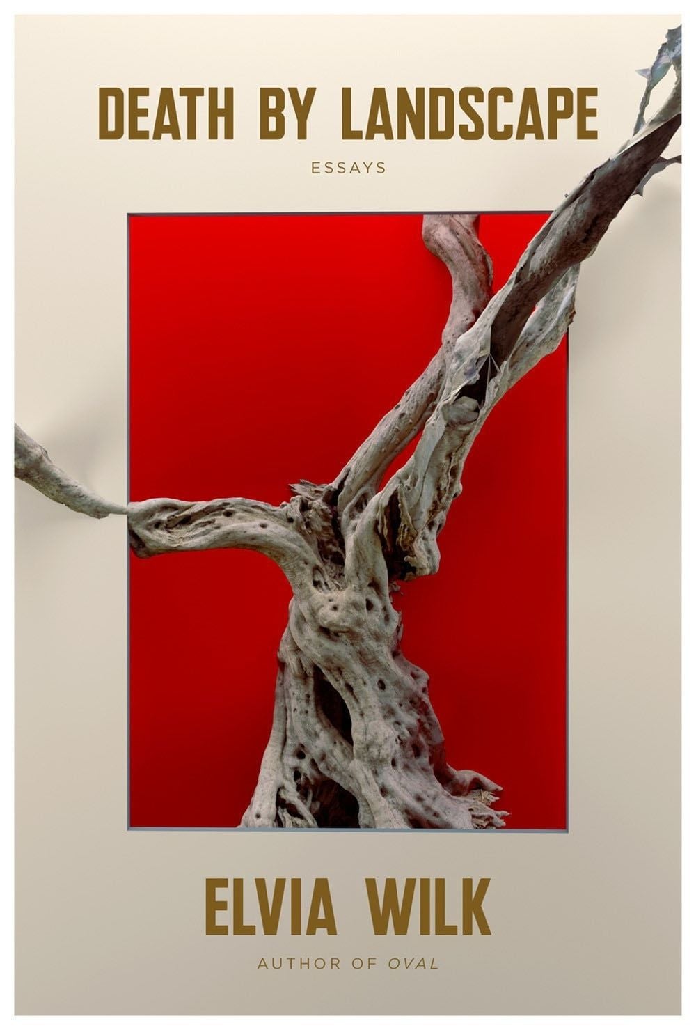 Death by Landscape by Elvia Wilk - ISBN: 9781593767150