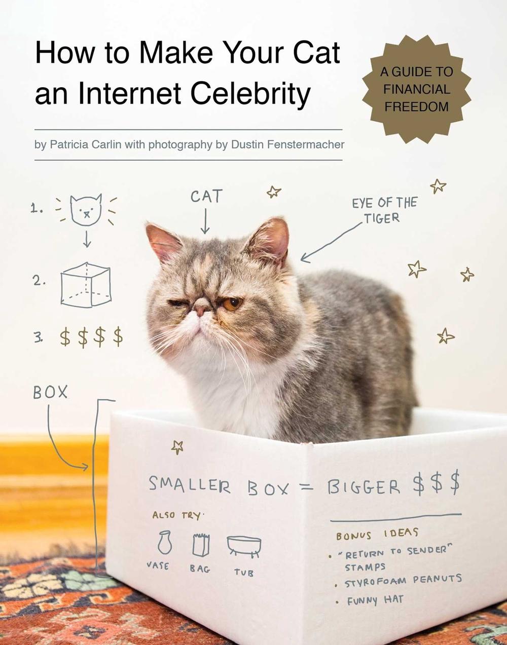 How to Make Your Cat an Internet Celebrity by Patricia Carlin - ISBN: 9781594746796