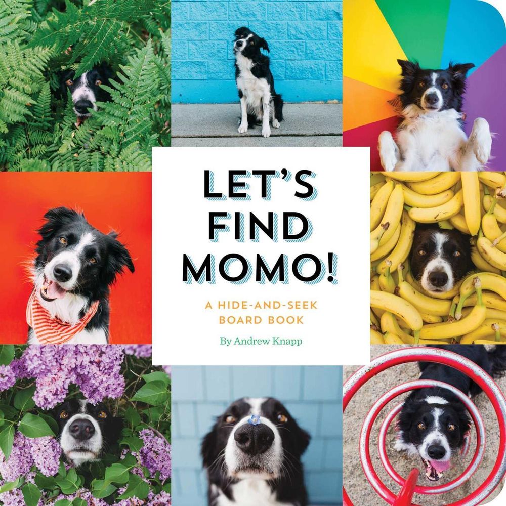 Let's Find Momo! by Andrew Knapp - ISBN: 9781594749582