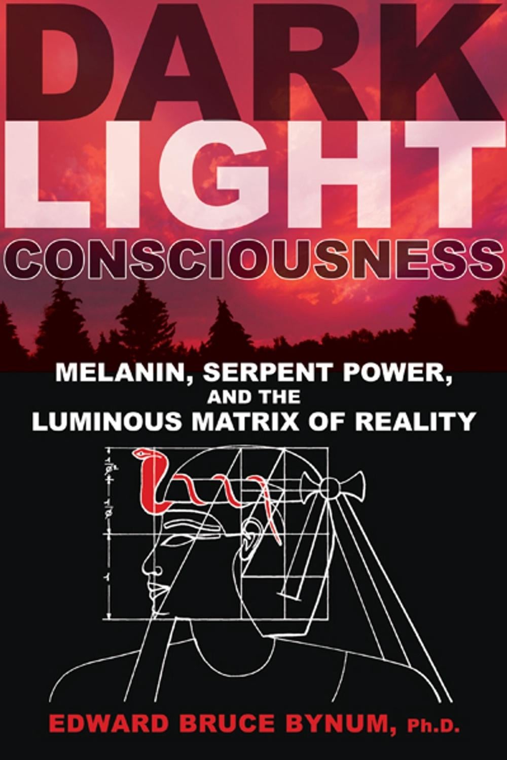 Dark Light Consciousness by Edward Bruce Bynum - ISBN: 9781594774720