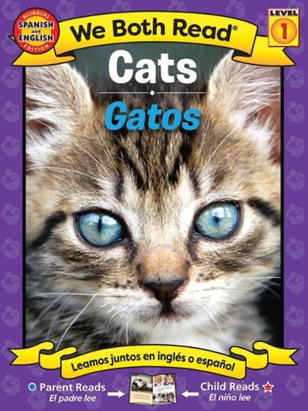 Bilingual – Cats – Gatos by Sindy McKay (Multiple languages) Paperback Book